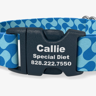 closeup of buckle personalization